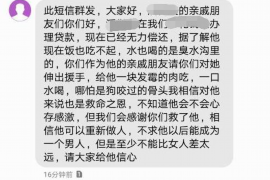 苍南融资清欠服务